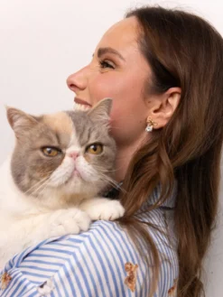 Boucles d'oreilles pendantes chat tabby et nœud>NACH BIJOUX Online