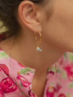 Charm's blue bird><noscript><img width=