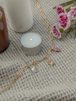 Charm's blue bird><noscript><img width=