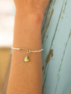 Charm's Blue Warbler>NACH BIJOUX Best