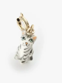 Charm's Chat tabby><noscript><img width=