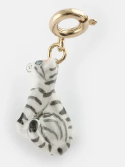 Charm's Chat tabby><noscript><img width=
