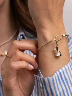 Charm's Chien Berger Australien>NACH BIJOUX New