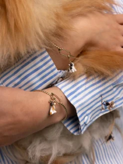 Charm's Chien Bulldog Français><noscript><img width=