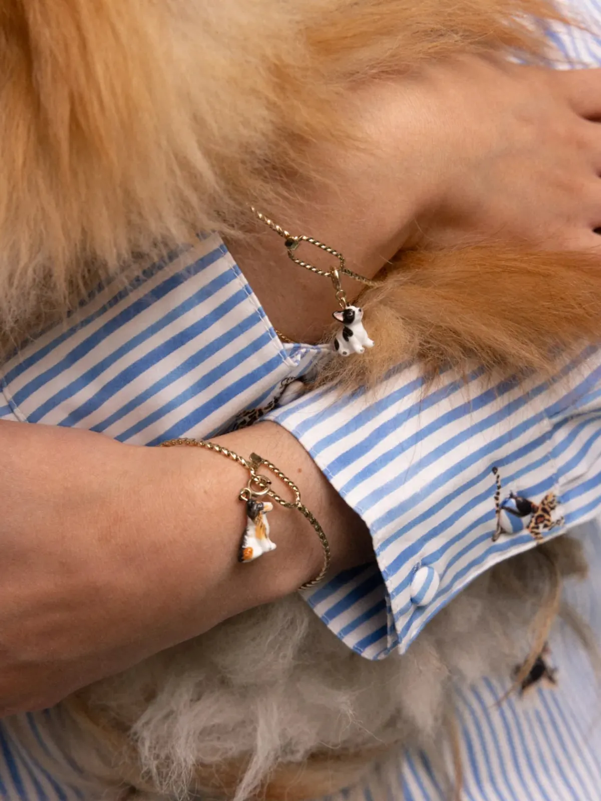Charm's Chien Bulldog Français>NACH BIJOUX Online