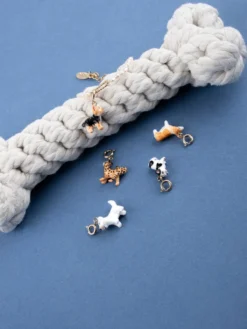Charm's Chien Bulldog Français><noscript><img width=