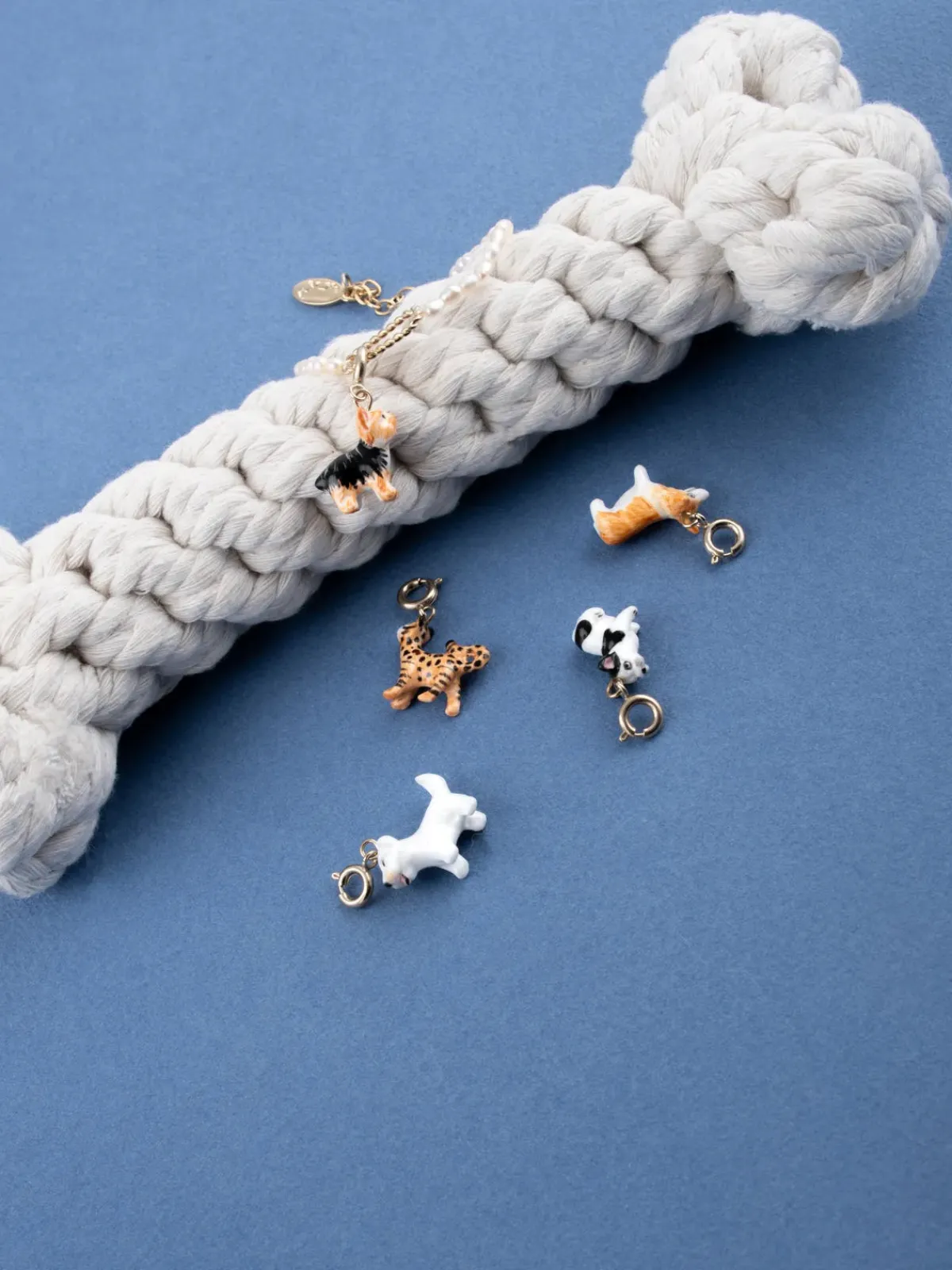 Charm's Chien Bulldog Français>NACH BIJOUX Online