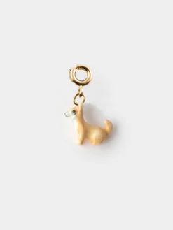 Charm's Chien Chihuahua>NACH BIJOUX