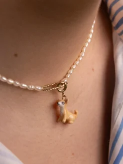 Charm's Chien Chihuahua>NACH BIJOUX