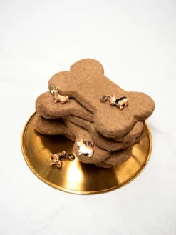 Charm's Chien Chihuahua><noscript><img width=