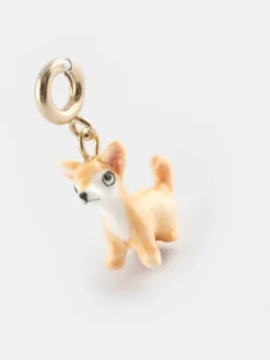 Charm's Chien Chihuahua><noscript><img width=