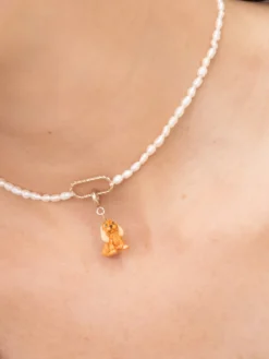 Charm's Chien Cocker>NACH BIJOUX