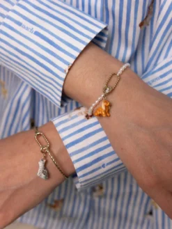 Charm's Chien Cocker><noscript><img width=
