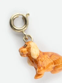 Charm's Chien Cocker><noscript><img width=