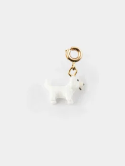 Charm's Chien Coton de Tulear><noscript><img width=