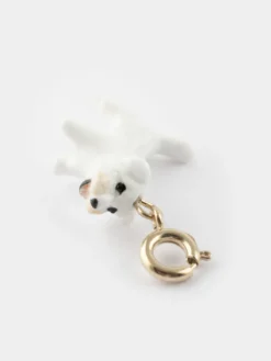 Charm's Chien Coton de Tulear><noscript><img width=