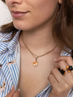 Charm's Chien Spitz>NACH BIJOUX Hot