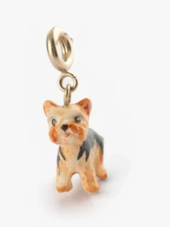 Charm's Chien Yorkshire>NACH BIJOUX