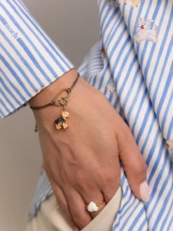 Charm's Chien Yorkshire>NACH BIJOUX