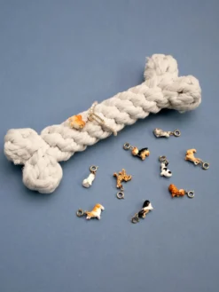 Charm's Chien Yorkshire><noscript><img width=