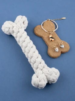 Charm's Chien Yorkshire><noscript><img width=