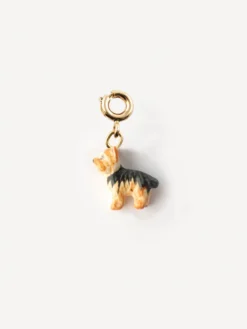 Charm's Chien Yorkshire><noscript><img width=