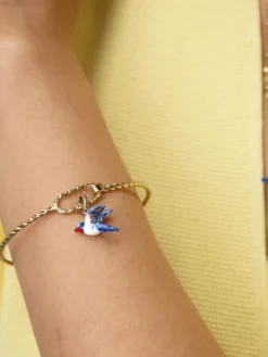 Charm's hirondelle><noscript><img width=