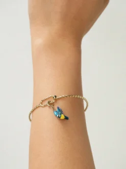 Charm's mésange><noscript><img width=