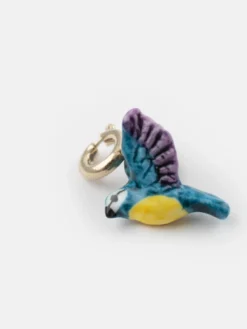 Charm's mésange><noscript><img width=