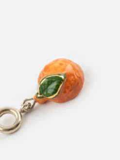 Charm's orange><noscript><img width=