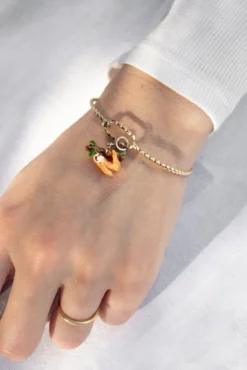 Charm's paresseux>NACH BIJOUX