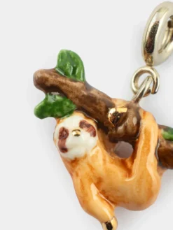 Charm's paresseux><noscript><img width=