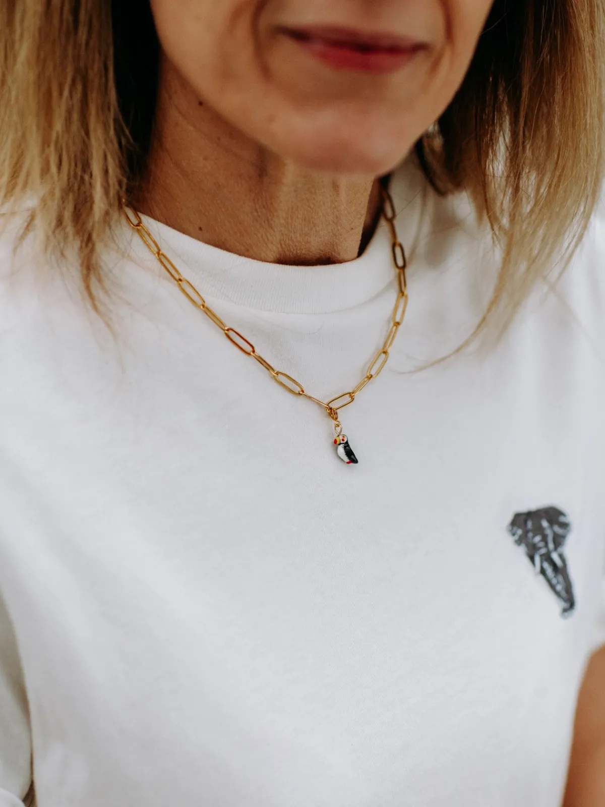 Charm's puffin - The Protected>NACH BIJOUX Best