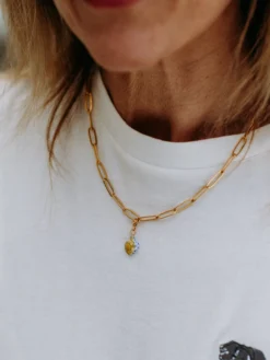 Charm's turtle - The Protected>NACH BIJOUX Discount