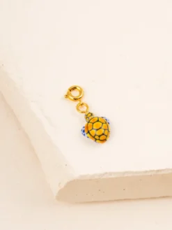Charm's turtle - The Protected><noscript><img width=