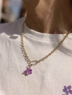 Charm's violette><noscript><img width=