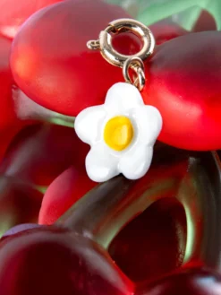 Charm's white flower><noscript><img width=