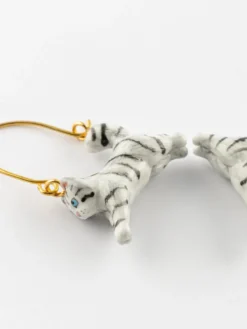 Créoles saut de chaton tabby><noscript><img width=