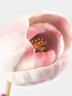 eternal pink tulip>NACH BIJOUX Sale
