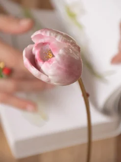 eternal pink tulip><noscript><img width=