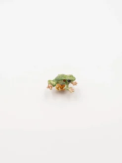Frog pin>NACH BIJOUX Hot