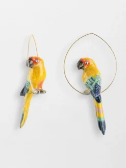 Grandes créoles oiseau conure soleil>NACH BIJOUX Online