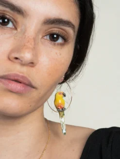 Grandes créoles oiseau conure soleil>NACH BIJOUX Online