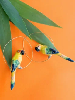Grandes créoles oiseau conure soleil><noscript><img width=
