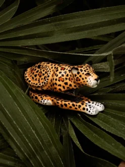 Leopard Stapler>NACH BIJOUX Best