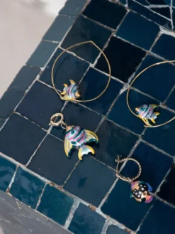 Maxi charm's rainbow fish><noscript><img width=