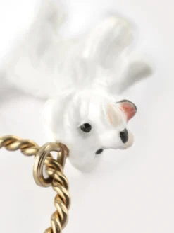 Mini créole chien Coton de Tulear - Vendue à l'unité><noscript><img width=