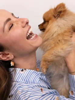 Mini créole chien Spitz - Vendue à l'unité><noscript><img width=