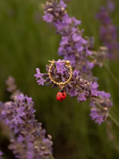 Mini créole coccinelle - Vendue à l'unité><noscript><img width=