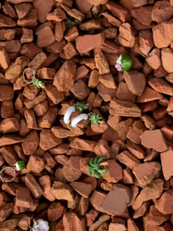 Mini créole noix de coco - Vendue à l'unité><noscript><img width=